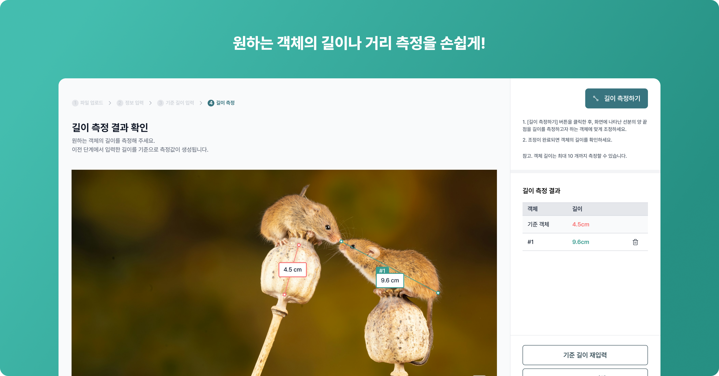 Gaze Analysis Example